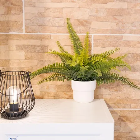 Les Elfes - Avec Parking&jardin Privé ! * Toulouse