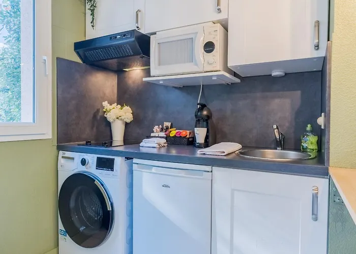 Les Elfes - Avec Parking&jardin Privé ! Appartement Toulouse