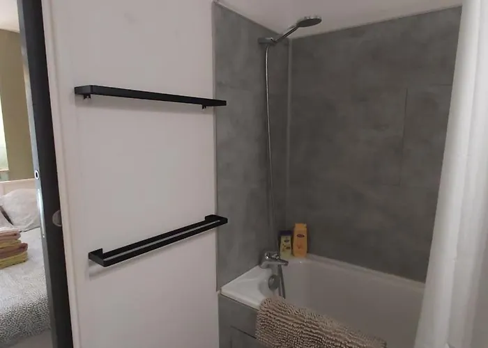 Les Elfes - Avec Entree Autonome, Clim Neuve, Jardin, Parking Prive & Gourmandises Offertes ! - Apartment